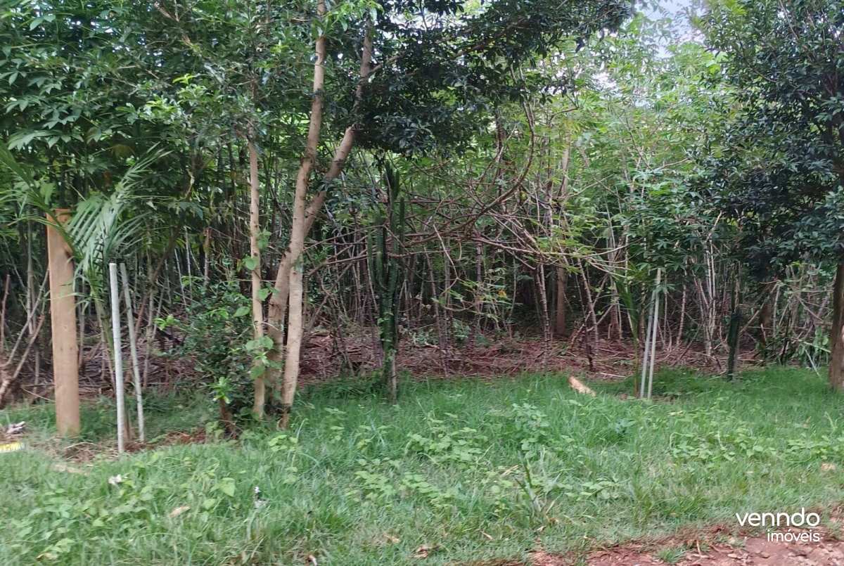  - CHÁCARA ESTRADA SÃO SALVADOR